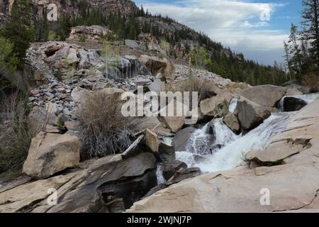 Ein rauschender Wasserfall durch zerklüftete Felsen auf dem Grottos Trail im White River National Forest in Colorado, USA Stockfoto