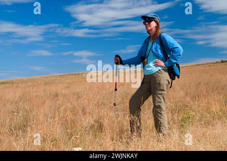 Grünland entlang gehörnte Lerche, Zumwalt Prairie Preserve, Oregon Stockfoto