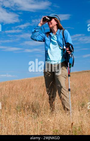 Vogelbeobachtungen Wegesrand gehörnte Lerche, Zumwalt Prairie Preserve, Oregon Stockfoto