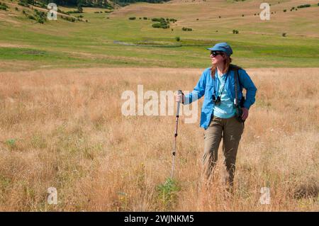 Grünland entlang gehörnte Lerche, Zumwalt Prairie Preserve, Oregon Stockfoto