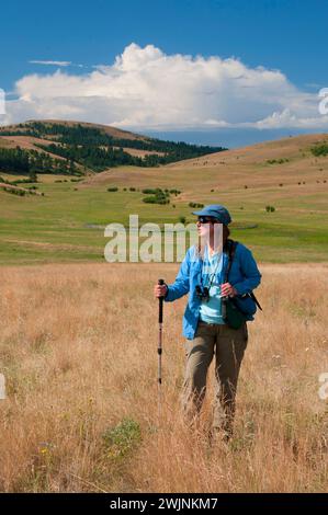 Grünland entlang gehörnte Lerche, Zumwalt Prairie Preserve, Oregon Stockfoto