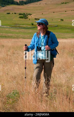 Grünland entlang gehörnte Lerche, Zumwalt Prairie Preserve, Oregon Stockfoto