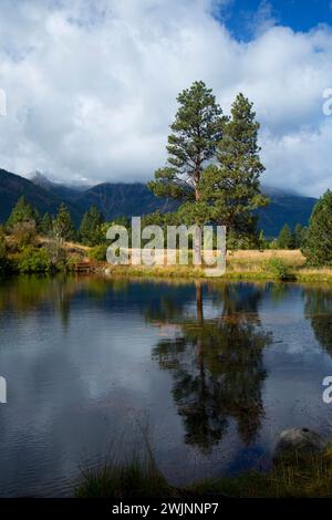 Knight's Pond, Iwetemlaykin State Park, Hells Canyon National Scenic Byway, Joseph, Oregon Stockfoto