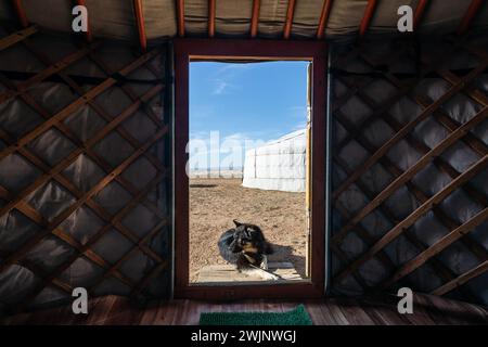 Ein künstlerisches Bild mit Blick von einer traditionellen Jurte eines mongolischen Nomadenstammes auf einen schwarzen schlafenden Hund. Stockfoto