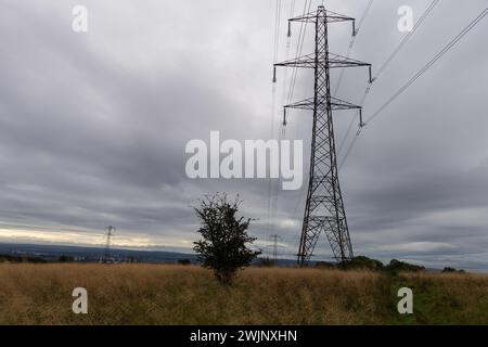 Ein Strompylon in der schottischen Landschaft an einem kalten, nassen Wintermorgen Stockfoto