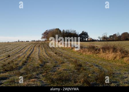 Ein landschaftlicher Blick auf die Stadt Glasgow, von den Hügeln über ihr im Süden an einem kalten Wintermorgen gesehen. Stockfoto