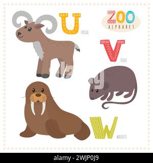 Niedliche Zeichentricktiere. Zoo-Alphabet mit lustigen Tieren. U, V, W Buchstaben. Urial, Wühlmäuse, Walrus. Vektorabbildung Stock Vektor