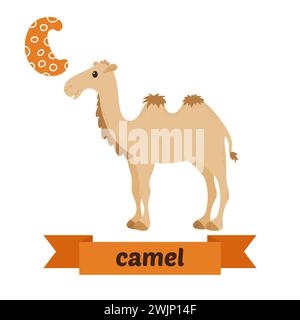 Kamel. Buchstabe C. Niedliches Kindertier-Alphabet im Vektor. Lustige Zeichentricktiere. Vektorabbildung Stock Vektor