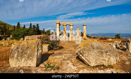 Archaischer Tempel des Apollo, dorische Säulen, Pfad, der zu Ruinen mit blühenden Blumen im Vordergrund führt, unter klarem Himmel, archäologische Stätte Stockfoto