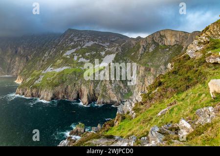 Slieve League, Irlands höchsten Meeresklippen, in south west Donegal entlang dieser herrlichen Küste fahren. Eine der beliebtesten hält Stockfoto