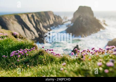 Scheildren, die bekannteste und fotografischste Landschaft am Malin Head, Irlands nördlichstem Punkt, Wild Atlantic Way, einer spektakulären Küstenroute. Wunder Stockfoto