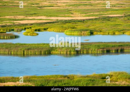 Buena Vista Pond, Malheur National Wildlife Refuge, High Desert Discovery Scenic Byway, Oregon Stockfoto