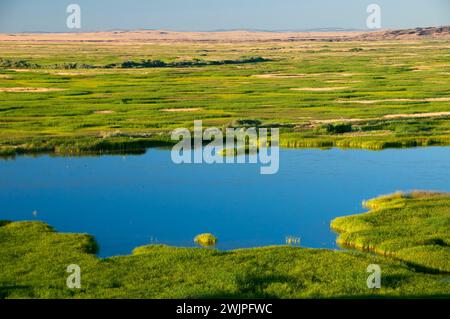 Buena Vista Pond, Malheur National Wildlife Refuge, High Desert Discovery Scenic Byway, Oregon Stockfoto