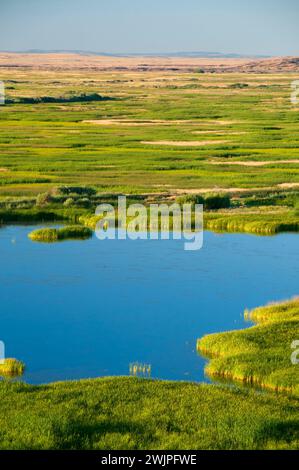 Buena Vista Pond, Malheur National Wildlife Refuge, High Desert Discovery Scenic Byway, Oregon Stockfoto