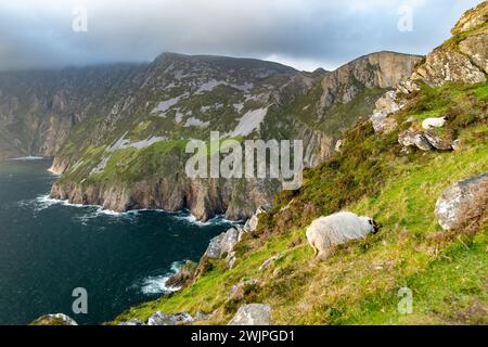 Slieve League, Irlands höchsten Meeresklippen, in south west Donegal entlang dieser herrlichen Küste fahren. Eine der beliebtesten hält Stockfoto