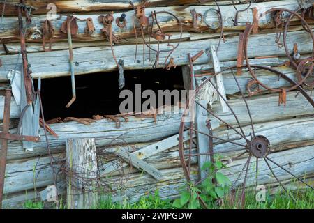 Lagergebäude/Tack Room Wall, Riddle Brothers Ranch National Historic District, Donner und Blitzen Wild and Scenic River, Oregon Stockfoto