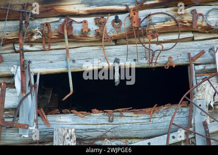 Lagergebäude/Tack Room Wall, Riddle Brothers Ranch National Historic District, Donner und Blitzen Wild and Scenic River, Oregon Stockfoto