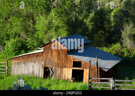 Barn, Riddle Brothers Ranch National Historic District, Donner und Blitzen Wild und Scenic River, Oregon Stockfoto