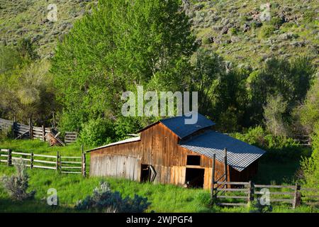 Barn, Riddle Brothers Ranch National Historic District, Donner und Blitzen Wild und Scenic River, Oregon Stockfoto