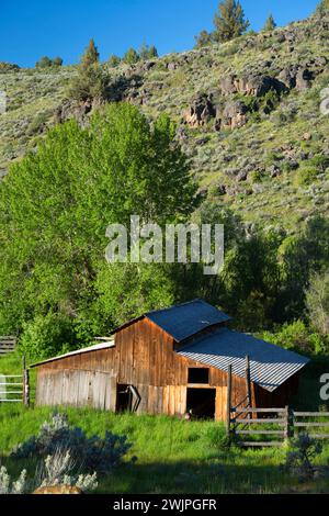 Barn, Riddle Brothers Ranch National Historic District, Donner und Blitzen Wild und Scenic River, Oregon Stockfoto