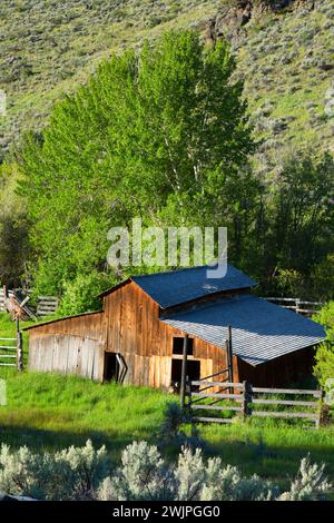 Barn, Riddle Brothers Ranch National Historic District, Donner und Blitzen Wild und Scenic River, Oregon Stockfoto