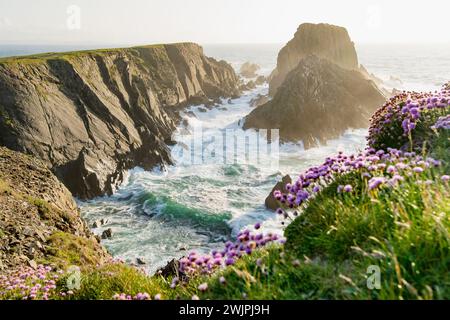 Scheildren, die bekannteste und fotografischste Landschaft am Malin Head, Irlands nördlichstem Punkt, Wild Atlantic Way, einer spektakulären Küstenroute. Wunder Stockfoto