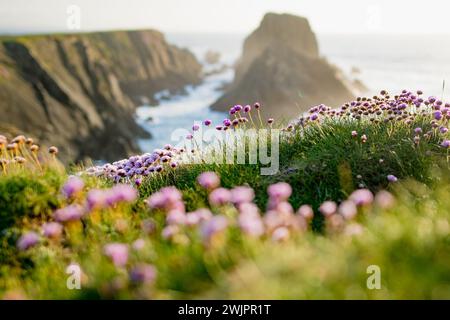 Scheildren, die bekannteste und fotografischste Landschaft am Malin Head, Irlands nördlichstem Punkt, Wild Atlantic Way, einer spektakulären Küstenroute. Wunder Stockfoto