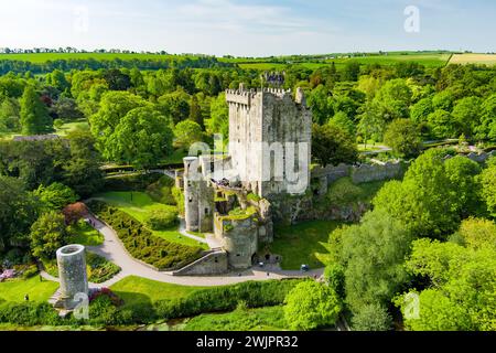 Blarney Castle, mittelalterliche Festung in Blarney, in der Nähe von Cork, bekannt für seinen legendären weltberühmten magischen Blarney Stone alias Stone of Eloquence, und reno Stockfoto