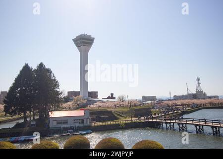 Wunderschöne Landschaft in der Kirschblütenzeit des Goryokaku-Turms und hellrosa Kirschblüten, Hakodate, Hokkaido, Japan Stockfoto