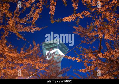 Blick nach oben auf das Modell goryokaku Tower mit rosa Kirschblüten (Sakura) Hintergrund bei Nacht in der Kirschblütensaison, Hakodate, Hokkaido, Japan Stockfoto