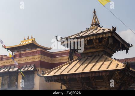 Harati Ajima Tempel und eines der Kloster in Swayambhunath (Affentempel), Kathmandu Stockfoto