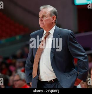 14. Februar 2024: Texas-Cheftrainer Vic Schaefer sieht bei einem Big 12 Frauen-Basketballspiel zwischen den Houston Cougars und den Texas Longhorns am 14. Februar 2024 in Houston an. Texas gewann 82:66. (Kreditbild: © Scott Coleman/ZUMA Press Wire) NUR REDAKTIONELLE VERWENDUNG! Nicht für kommerzielle ZWECKE! Stockfoto