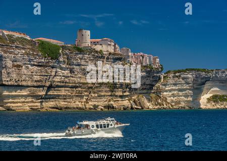 Zitadelle auf den Kalksteinklippen, vom Meer aus gesehen, King Aragon Treppe links, Ausflugsboot, in Bonifacio, Corse-du-Sud, Korsika, Frankreich Stockfoto