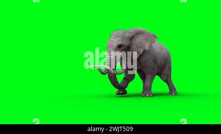 Afrikanischer Elefant im Leerlauf. 3D-Rendering. Stockfoto