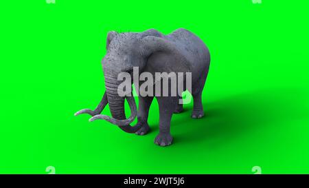 Afrikanischer Elefant im Leerlauf. 3D-Rendering. Stockfoto