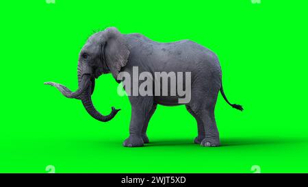 Afrikanischer Elefant im Leerlauf. 3D-Rendering. Stockfoto