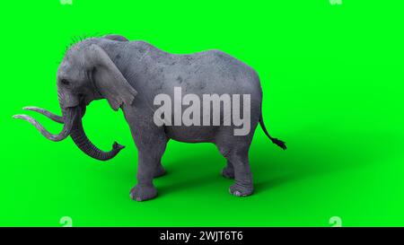 Afrikanischer Elefant im Leerlauf. 3D-Rendering. Stockfoto
