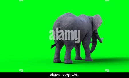 Afrikanischer Elefant im Leerlauf. 3D-Rendering. Stockfoto