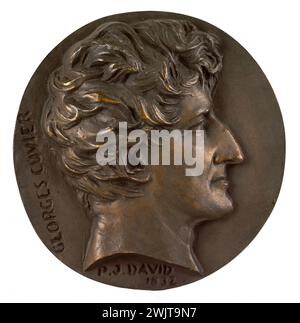 David d'Angers (1788-1856). Porträt von Georges Cuvier (1769–1832), französischer Naturforscher. Bronze, Sandgusseisen. 1832. Paris, Museum Carnavalet. 58287-16 Bronze, Baron, Sandguss, französischer Naturforscher, Profil, Hochformat Stockfoto