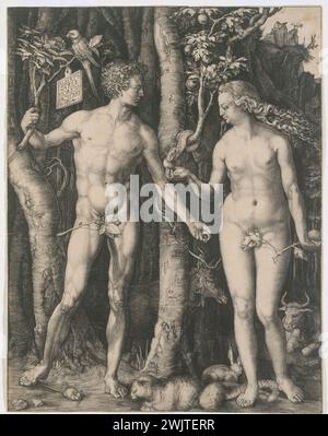 Albrecht Dürer (1471-1528). „Adam und Eva“. Stich, 16. Jahrhundert, B 1. Museum der Schönen Künste in Paris, Petit Palais. 26979-12 Alter Wille, Bibel, originales Angeln, Schlange, Gravur, apfel Stockfoto