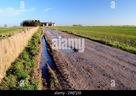 Pfützen entlang des Imber Range Path auf Westbury Hill, Wiltshire. Stockfoto