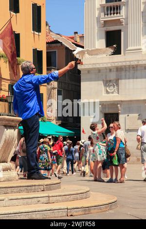 Ein Mann füttert Möwen in St., Nark's Sqaure in Venedig, Italien. Stockfoto