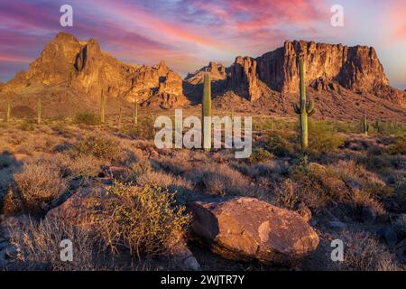 Eine malerische Wüstenlandschaft mit Kakteen vor dem Hintergrund der Superstition Mountains. Arizona Stockfoto