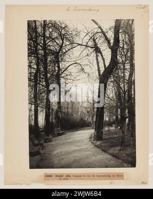 Blancard, Hippolyte (1843 - D.1924), großes Allée, beherbergt die Rue du Luxembourg, Jardin du Luxembourg, 6. Arrondissement, Paris (Dummy-Titel), 1890. Platin-Verlosung. Carnavalet Museum, Geschichte von Paris. Stockfoto