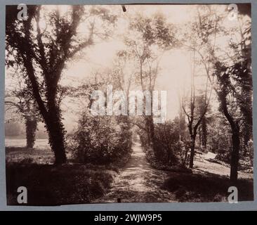 Atget, Eugène (Jean Eugène Auguste Atget, dit) (N.1857-02-12-D.1927-08-04), Parc Delessert, 32 Quai de Passy, 16. Arrondissement, Paris. (Dummy-Titel), 1914. Zeichnen Sie auf Albuminpapier. Carnavalet Museum, Geschichte von Paris. Paris, atget Stockfoto