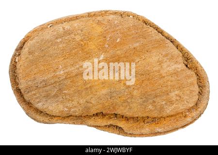 Stück Treibholz isoliert auf weißem Hintergrund. Stockfoto