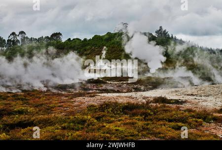 Landschaft des Orakei Korako Geothermal Park, Taupo, Nordinsel, Neuseeland Stockfoto