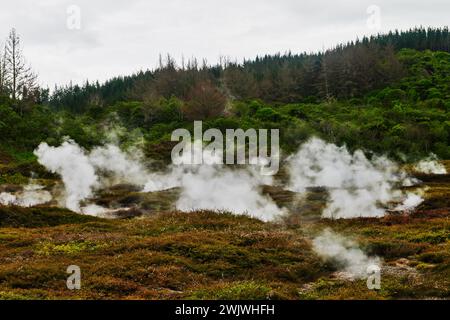 Landschaft des Orakei Korako Geothermal Park, Taupo, Nordinsel, Neuseeland Stockfoto