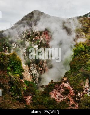 Landschaft des Orakei Korako Geothermal Park, Taupo, Nordinsel, Neuseeland Stockfoto