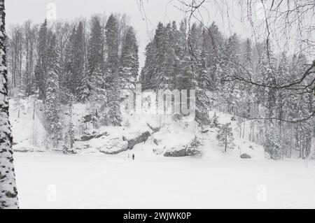 Schneebedeckter See im Nuuksio Nationalpark in Espoo. Stockfoto